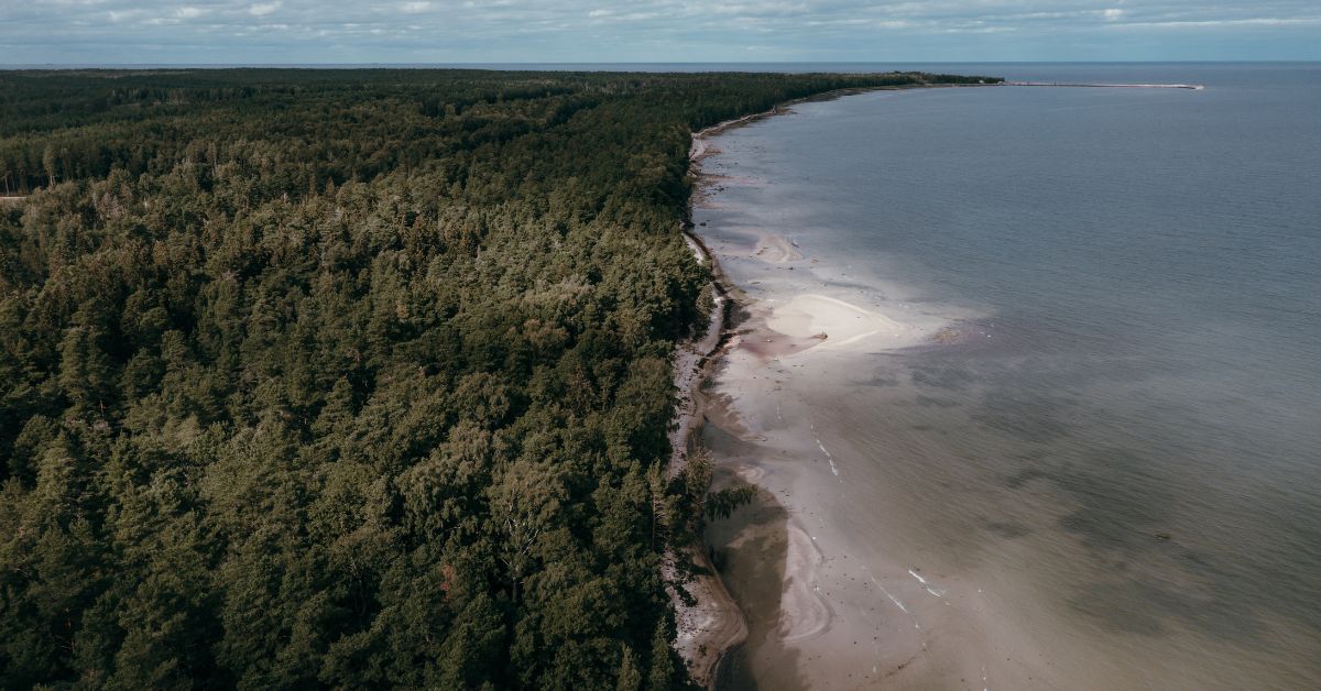 Beautiful Natural Landscapes in Estonia