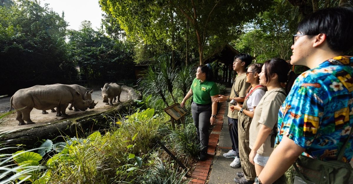 Guided explorations of the wildlife parks. Credit Mandai Wildlife Group