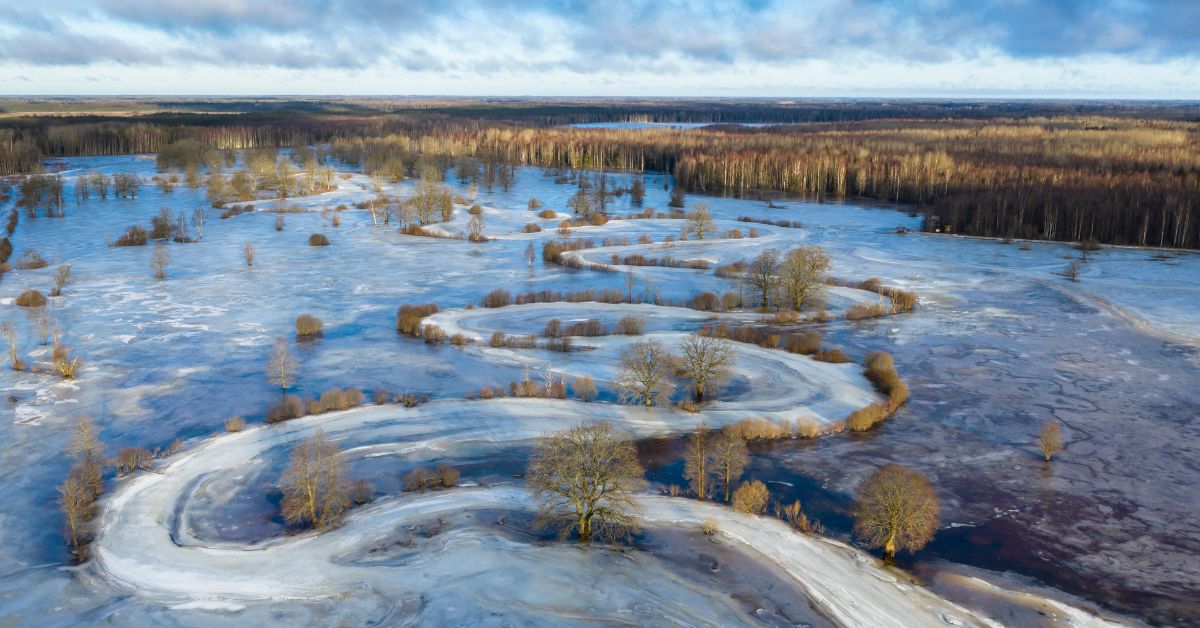 Soomaa National Park, Estonia