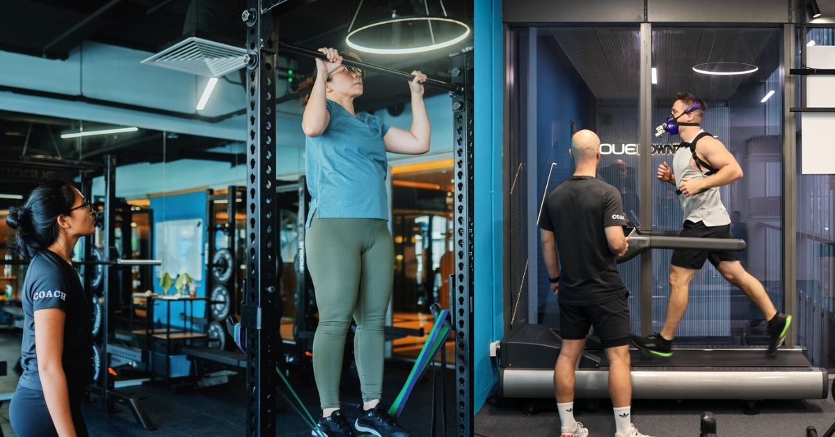 Strength Clinic Academy -&nbsp; Sync Your Transformation Regime To Your Metabolic Profile