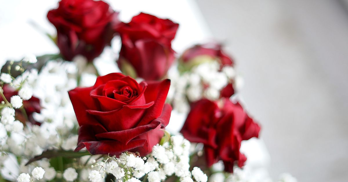 Roses Only&nbsp;- A Florist Specialising In Roses