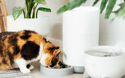 smart pet gadgets
