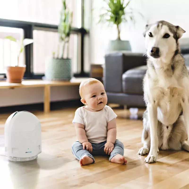 Air Purifiers: Benefits & Uses