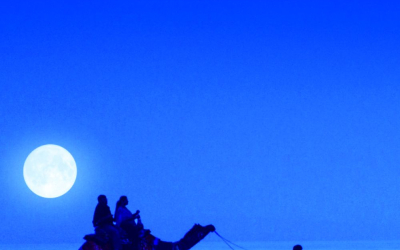 noctourism