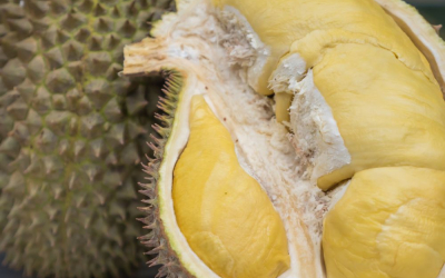 where to eat durian in singapore