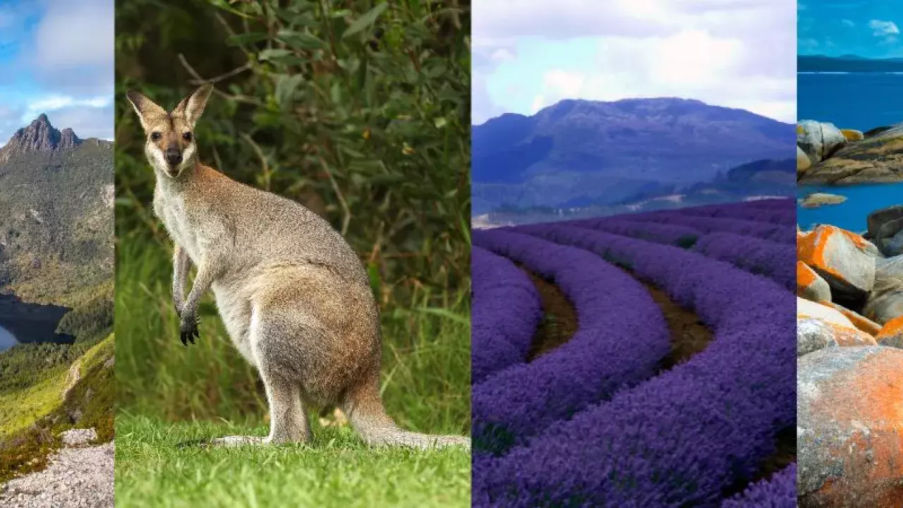 best time to visit tasmania