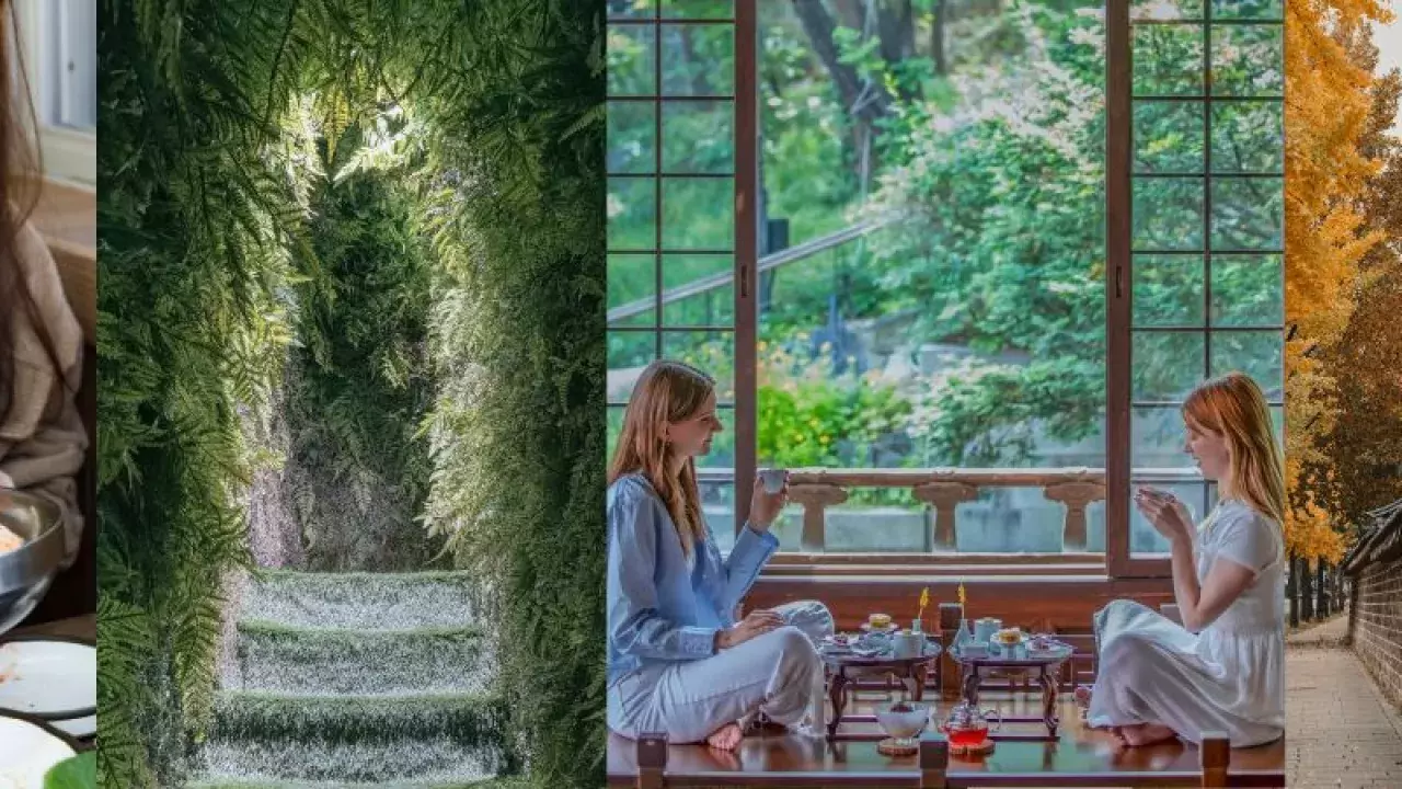 Korea Travel Trends 2025