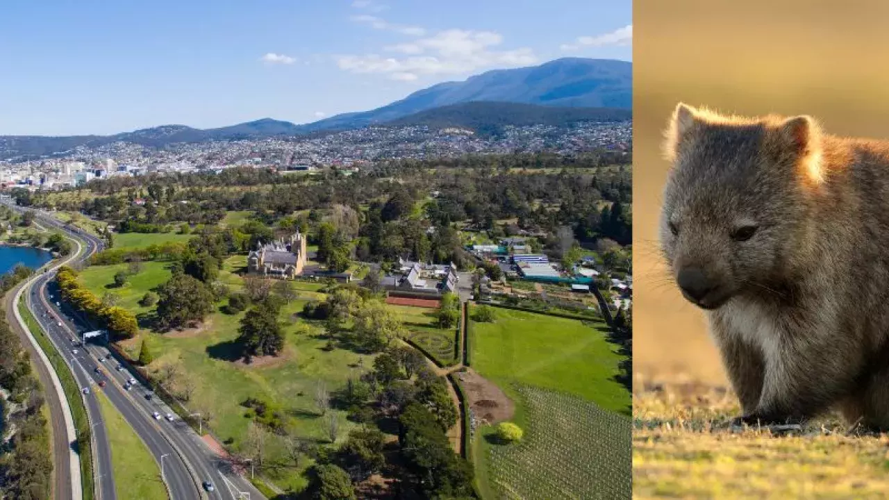 hobart tasmania