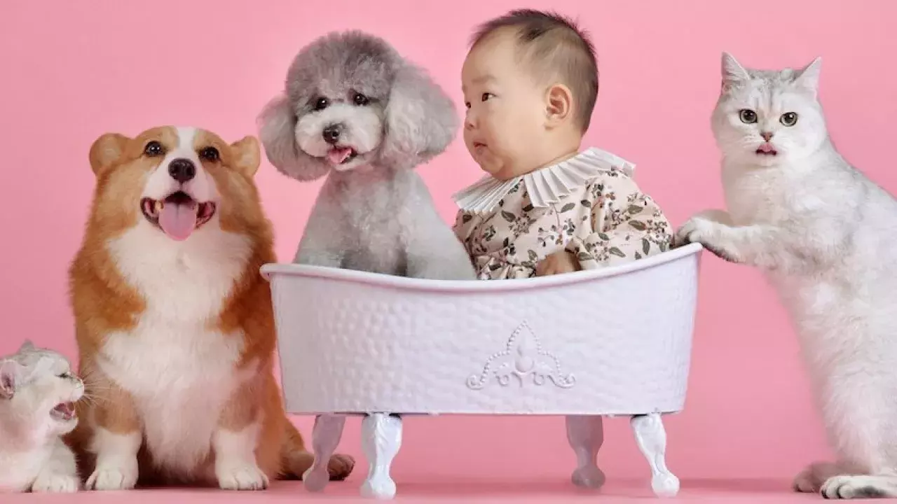Spoil Your Pets: Online Shops in SG
