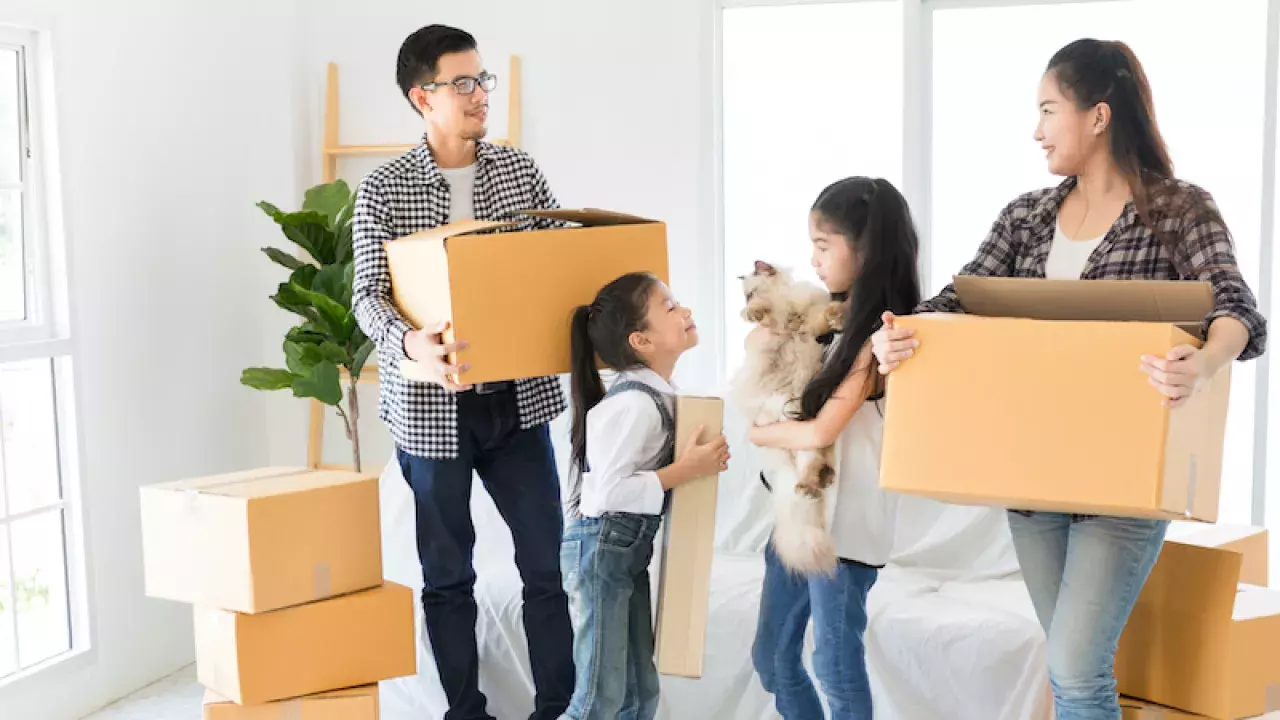 Singapore’s Movers and Packers For a Stress-Free Office or House Move