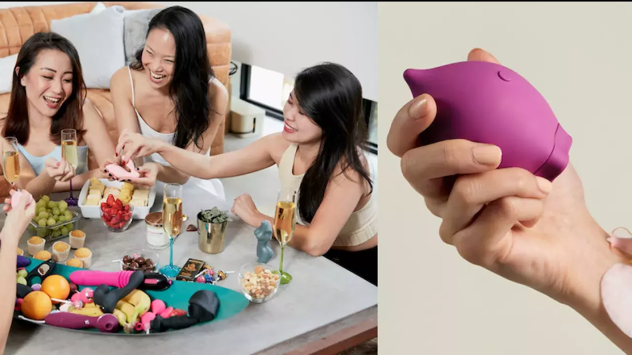 Top Sex Toy & Intimate Stores in Singapore